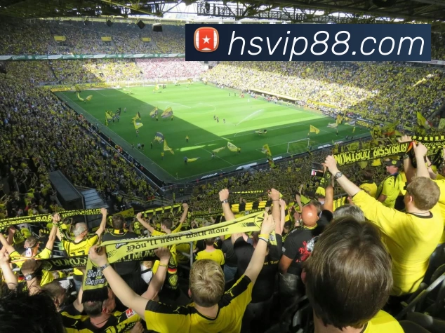 App Interface Preview